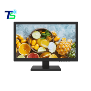 Màn hình máy tính 18.5inch Hikvision DS-D5019QE-B